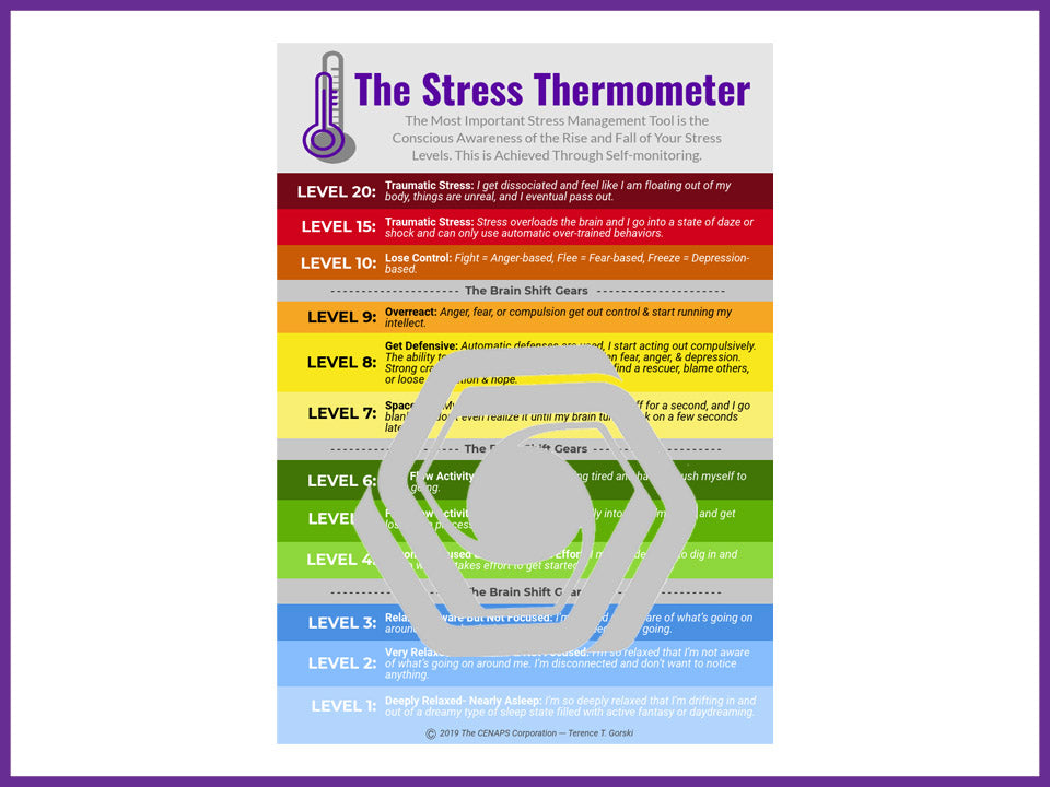 The Stress Thermometer