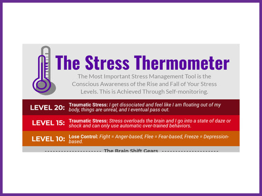The Stress Thermometer